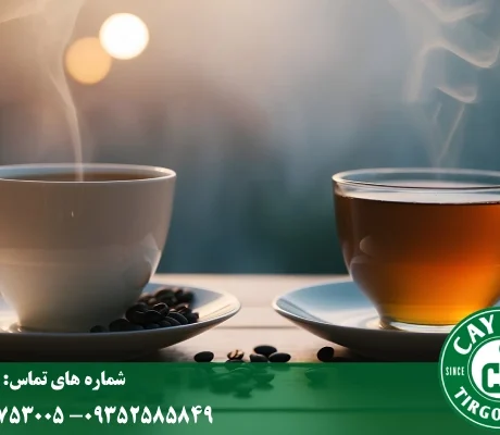 راهنمای انتخاب بهترین نوشیدنی گرم | دمنوش، قهوه یا چای؟