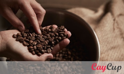بهترین روش خرید قهوه چیست؟