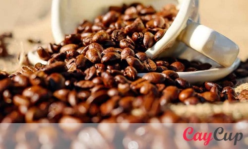 خرید دانه قهوه بهتر است یا پودر قهوه؟