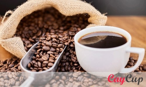 راهنمای جامع خرید قهوه