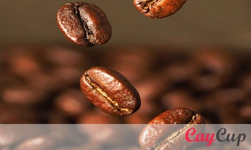 عوامل مؤثر در قیمت قهوه روبوستا