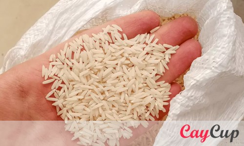بهترین نمایندگی فروش برنج ایرانی