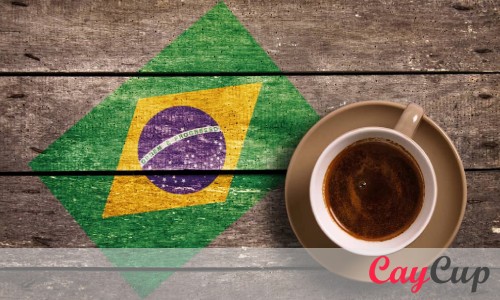 قهوه فوری برزیل چیست؟
