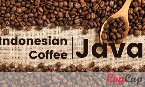 آشنایی جامع با قهوه اندونزی جاوا