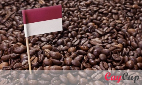 تاریخچه قهوه اندونزی جاوا