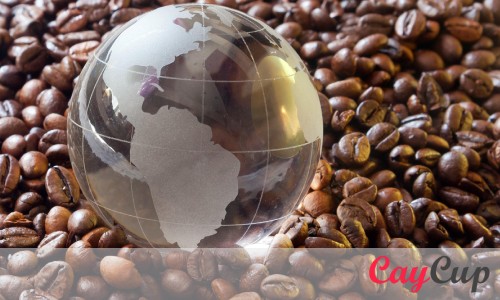 خرید قهوه عربیکا کلمبیا در ایران