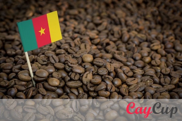 قهوه اوگاندا (Uganda)