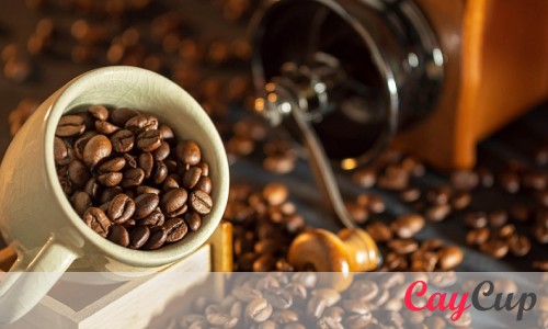 دانه قهوه ویتنام ارزان ترین قیمت قهوه