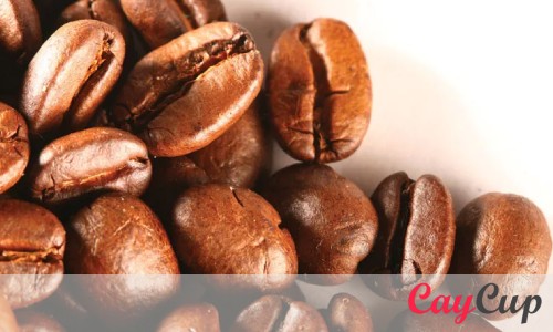 تفاوت قهوه عربیکا و روبوستا در چیست