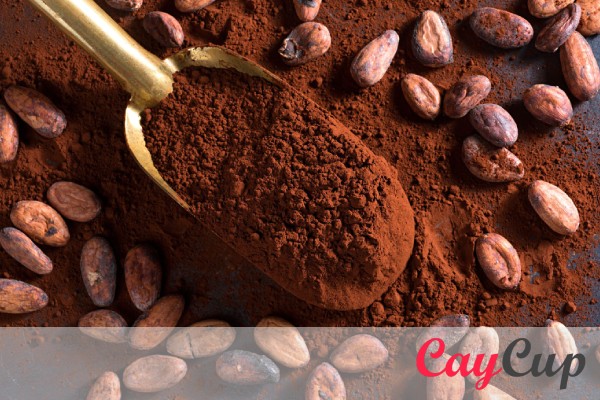 پودر کاکائو چیست و چه خواصی دارد؟