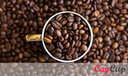 ویژگی‌های دان قهوه روبوستا چیست