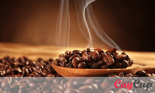 میزان کافئین قهوه روبوستا