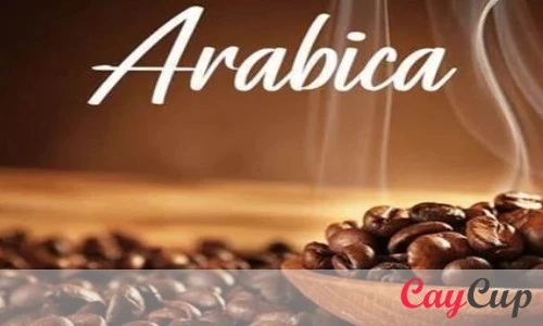قهوه 100 درصد عربیکا (قهوه 100% عربیکا) چیست؟