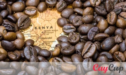 مقدار کافئین قهوه 100 درصد عربیکا (قهوه 100% عربیکا)