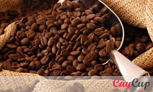 خرید قهوه 100 درصد عربیکا