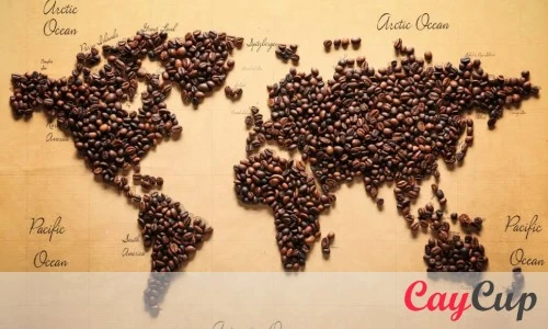 بهترین قهوه 100 درصد روبوستا برای کدام کشور است