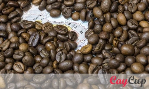 بهترین قهوه روبوستا برای کدام کشور است؟ ویتنام