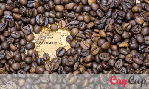 بهترین قهوه روبوستا برای کدام کشور است؟ کلمبیا