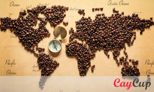 بهترین تولید کتننده قهوه روبوستا برای کدام کشور است ؟
