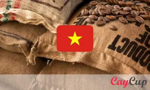 مزایای قهوه ویتنام در بازار جهانی
