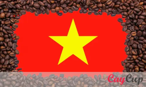 مشخصات کلی قهوه ویتنام در طعم و نوع آن