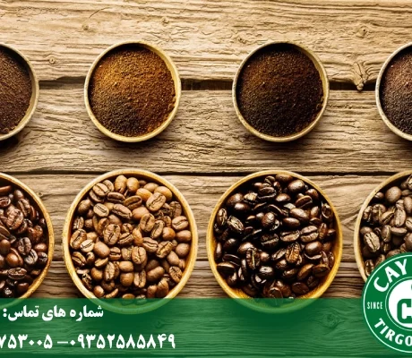 راهنمای انتخاب دانه قهوه بر اساس ذائقه | کشف طعم ایده‌آل شما ☕