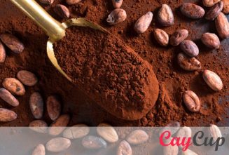پودر کاکائو چیست و چه خواصی دارد؟